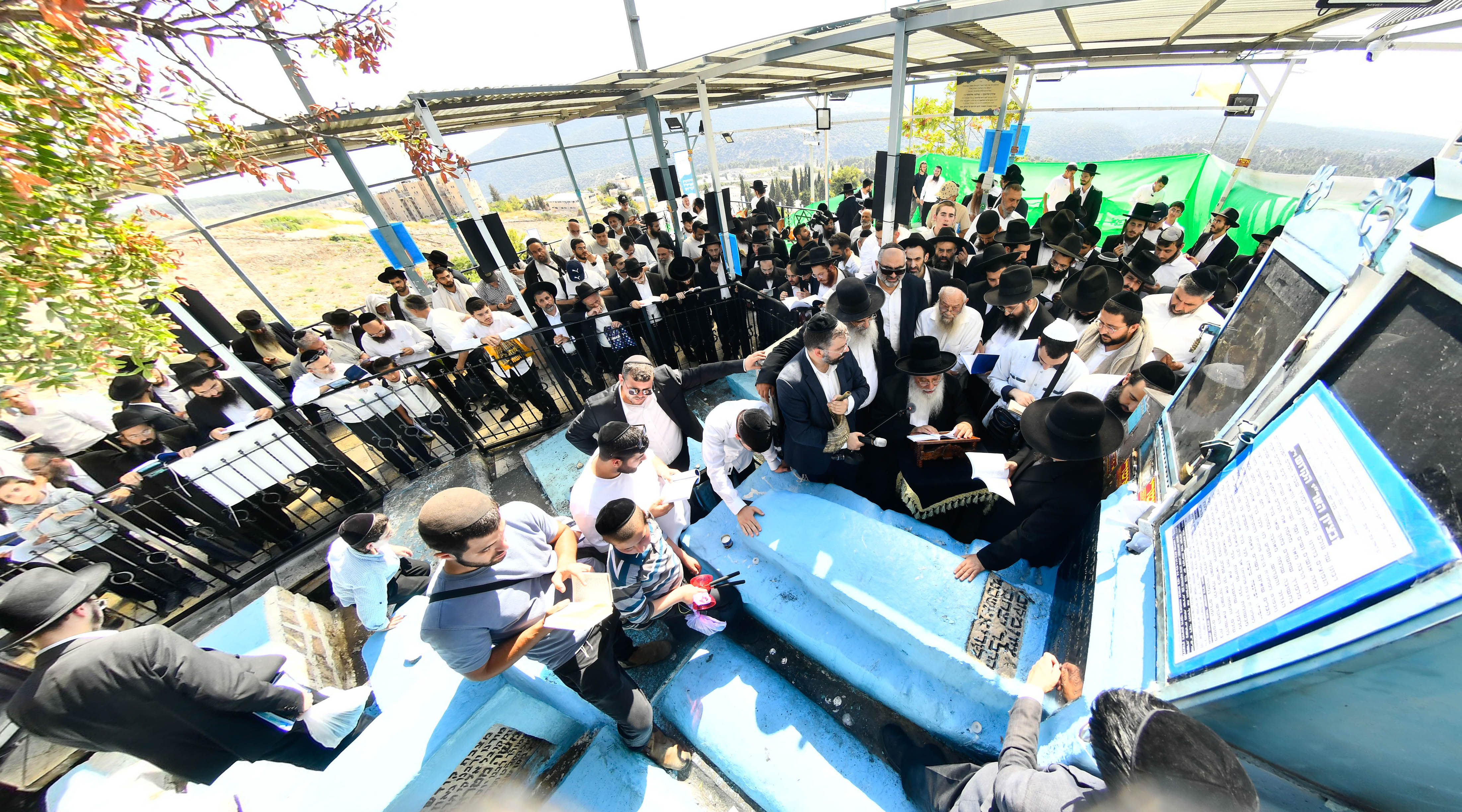 תמונה 12